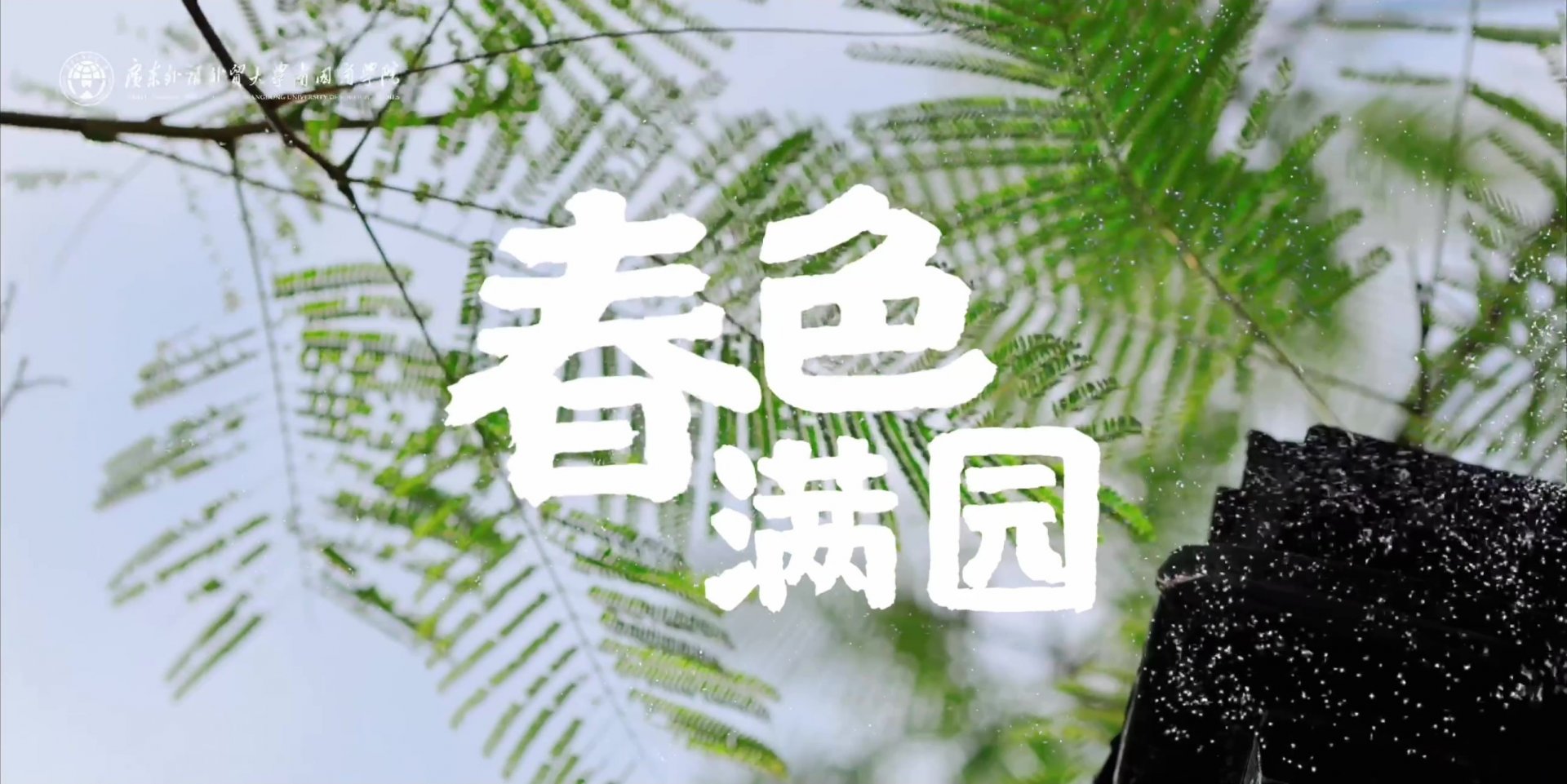 便于对照栏目动态与后续阅读