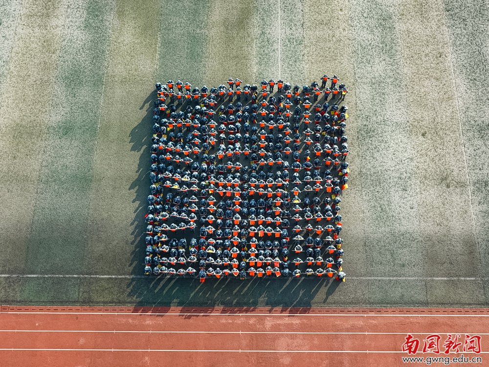 2026-01-19浏览次数