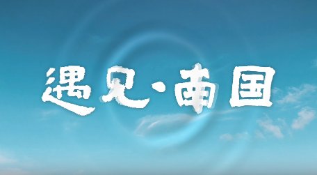 1998年7月